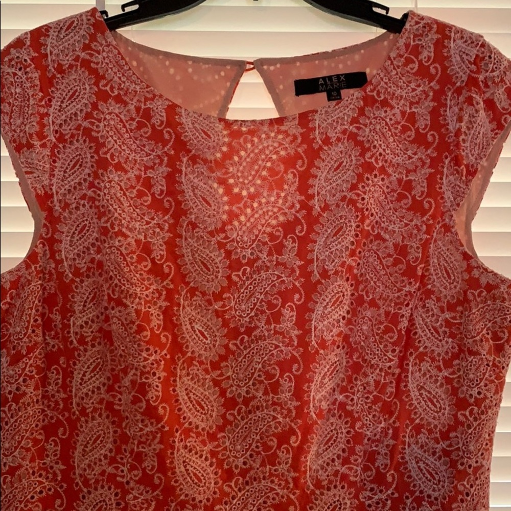 Beautiful Alex Marie embroidered structures dress